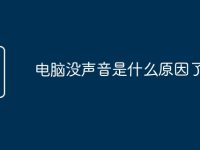 電腦沒聲音是什么原因了-路由網(wǎng)