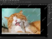 PS怎么清除剪貼板？Photoshop刪除剪貼板記錄的技巧-路由網(wǎng)