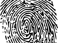 魅藍e2怎么設置微信指紋支付-路由網(wǎng)