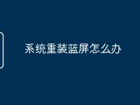 系統(tǒng)重裝藍(lán)屏怎么辦-路由網(wǎng)