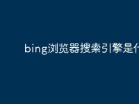 bing瀏覽器搜索引擎是什么-路由網(wǎng)