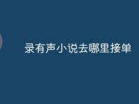 錄有聲小說(shuō)去哪里接單-路由網(wǎng)