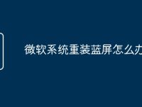 微軟系統(tǒng)重裝藍(lán)屏怎么辦-路由網(wǎng)