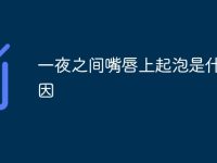 一夜之間嘴唇上起泡是什么原因-路由網(wǎng)