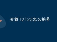 交管12123怎么拍號(hào)-路由網(wǎng)
