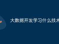 大數(shù)據(jù)開(kāi)發(fā)學(xué)習(xí)什么技術(shù)-路由網(wǎng)