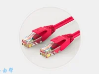 電腦主機(jī)的網(wǎng)線應(yīng)該插入背面的網(wǎng)絡(luò)接口，通常標(biāo)記為LAN。-路由網(wǎng)