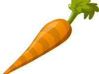 車(chē)蘿卜倒閉了還能用嗎-路由網(wǎng)