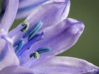 第一次買(mǎi)微單相機(jī)怎么選-路由網(wǎng)