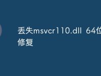丟失msvcr110.dll?64位怎么修復(fù)-路由網(wǎng)