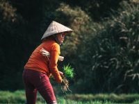 飯圈文化呈現(xiàn)什么樣的畸形發(fā)展-路由網