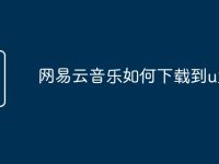 網(wǎng)易云音樂(lè)如何下載到u盤-路由網(wǎng)