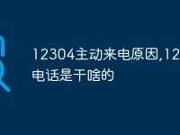 12304主動(dòng)來(lái)電原因,12304電話是干啥的-路由網(wǎng)