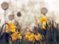 百度怎么關(guān)閉推薦 熱點-路由網(wǎng)