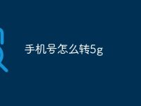 手機(jī)號怎么轉(zhuǎn)5g-路由網(wǎng)