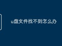 u盤(pán)文件找不到怎么辦-路由網(wǎng)