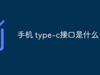 手機(jī) type-c接口是什么-路由網(wǎng)