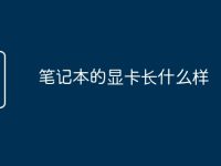 筆記本的顯卡長什么樣-路由網(wǎng)