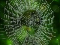 如何用命令行提升網(wǎng)絡(luò)管理權(quán)限-路由網(wǎng)