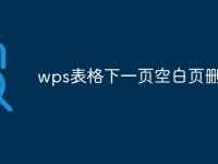 wps表格下一頁(yè)空白頁(yè)刪不掉-路由網(wǎng)