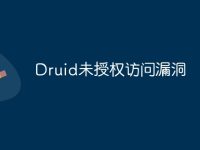 Druid未授權(quán)訪問漏洞-路由網(wǎng)