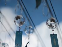 wifi顯示不出來怎么辦-路由網(wǎng)