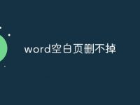 word空白頁(yè)刪不掉-路由網(wǎng)